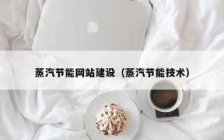 高唐蒸汽节能网站建设（蒸汽节能技术）